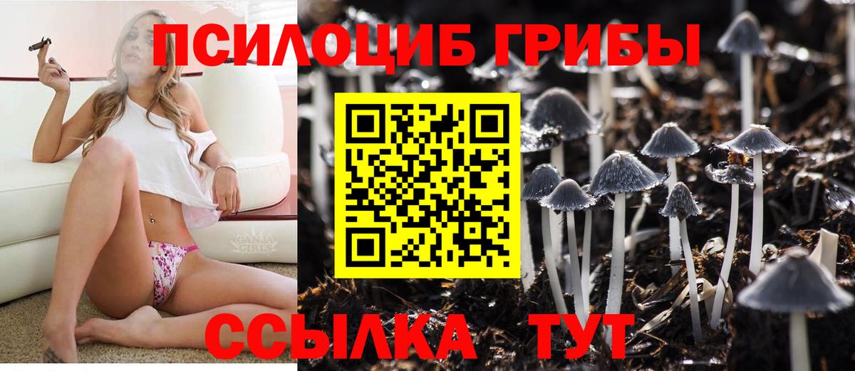 Галлюциногенные грибы Cubensis  Галлюциногенные грибы Psilocybine cubensis  Ноябрьск  Вход с VPN 