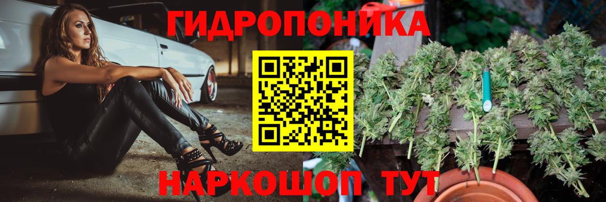 МАРИХУАНА SATIVA & INDICA Ноябрьск